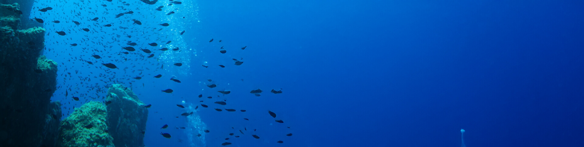 Diving in Gallura: alla scoperta dei relitti sommersi